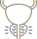 Ícone Hiperplasia Prostática Benigna